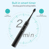 Electric Toothbrush,2 DuPont Brush Heads